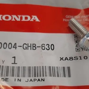 Tornillo Tapa Filtro Aceite XR 250 Tornado | CBX 250 | Falcon 400